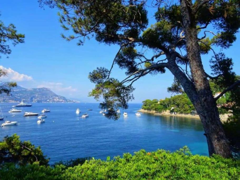 2p Neuf Au Coeur De St Jean Cap Ferrat Apartment